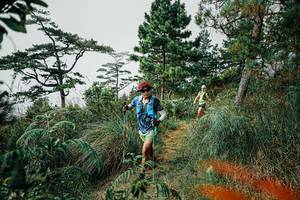 BIB: 
                            <button type="button" onclick="openModal(25259061)" class="btn btn-primary btn-sm float-right btn-popup" data-toggle="modal" data-target=".modal-high-quality">
                        <i class="fas fa-shopping-cart"></i> Add to Cart
                    </button>
                                            <button type="button" onclick="isThisMe(25259061, true)" class="btn btn-success btn-sm float-right btn-popup btn-isme hidden" data-toggle="tooltip" data-placement="bottom" title="นี่คือรูปของคุณใช่ไหม คลิกที่นี่เพื่อเอาเข้าอัลบั้ม">
                        <i class="fas fa-plus"></i> Add to album
                    </button>
                    <button type="button" onclick="isThisMe(25259061, false)" class="btn btn-warning btn-sm float-right btn-popup btn-isnotme hidden">
                        <i class="fas fa-ban"></i> Remove from album
                    </button>